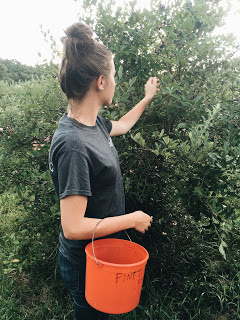 summer_reflection_2017 summer_reflection_2017